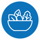 Salad icon