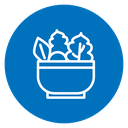Salad 2 icon