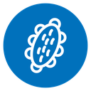 Sea cucumber icon