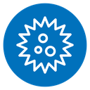 Sea urchin icon
