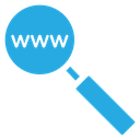 Searching Website Color Filled icon