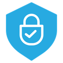 Secure Shield Padlock Check icon