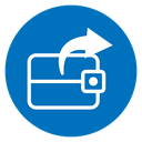 Send money icon