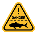 Shark warning sign icon