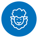 Sheep icon