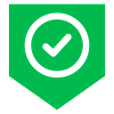 Shield Check Badge Color Filled icon