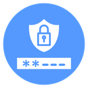 Shield Password Field icon