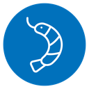 Shrimp icon