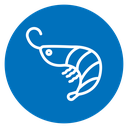 Shrimp icon