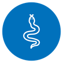 Snake 2 icon