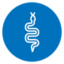 Snake icon