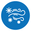 Snow blowing icon