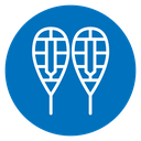 Snowshoes icon