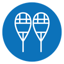 Snowshoes icon