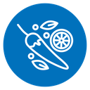 Spices icon