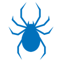 Spider icon