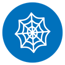 Spider web icon