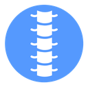 Spinal column Color Filled icon