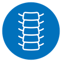 Spinal column icon