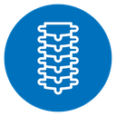 Spine icon
