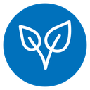 Sprout Leaves Color Filled icon