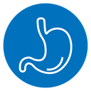 Stomach icon