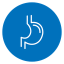 Stomach 3 icon