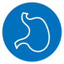 Stomach icon