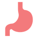 Stomach 2 icon