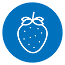 Strawberry icon