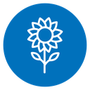 Sunflower 2 icon
