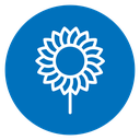 Sunflower 2 icon