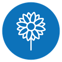 Sunflower 3 icon