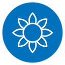Sunflower icon