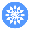 Sunflower icon