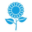 Sunflower icon