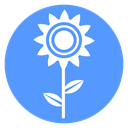Sunflower icon