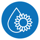 Sunflower oil icon