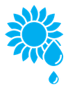 Sunflower oil icon
