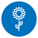 Sunflower icon