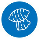 Sweet potato icon