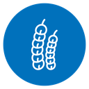 Tamarind icon