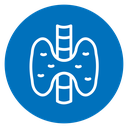 Thyroid icon