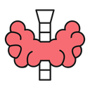 Thyroid icon