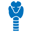 Thyroid icon