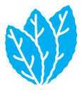 Tobacco leaves icon