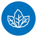Tobacco Leaves icon