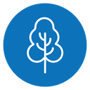 Tree free icon