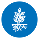 Tree with roots and leaves icon