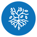 Tree with roots and leaves icon